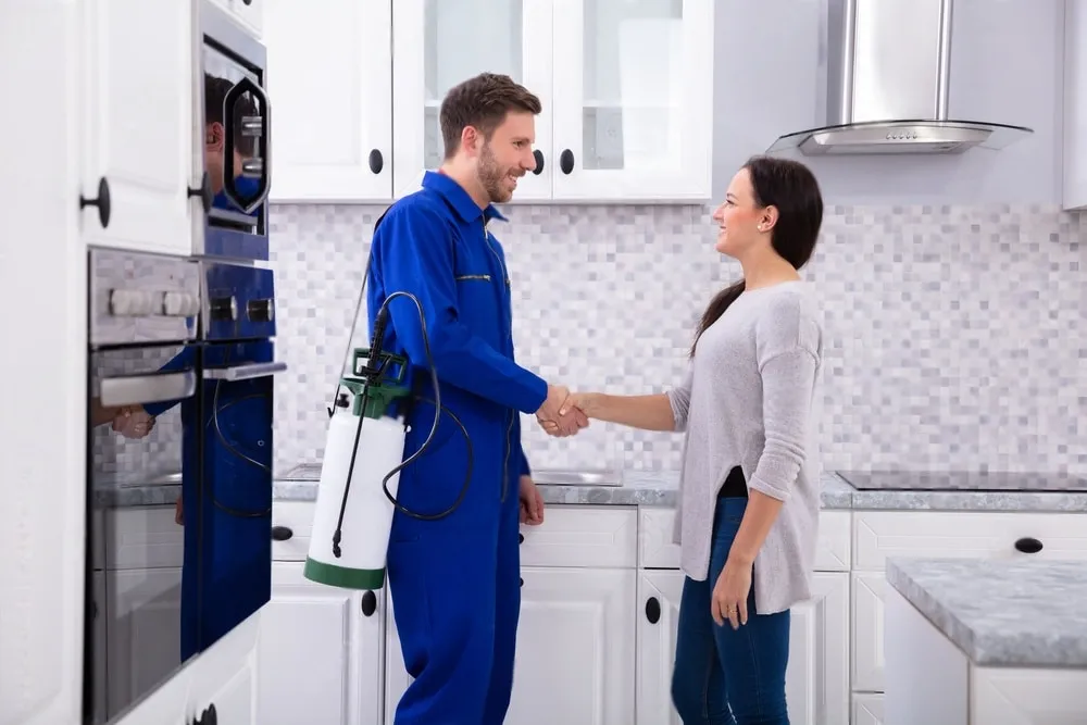 Pest Control Experts - Harbor City Best Pest Pros | Harbor City, CA | 310-750-4510